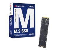 SSD M.2 NVME 256GB Biostar 2800MBs/1150MBs M760 slika