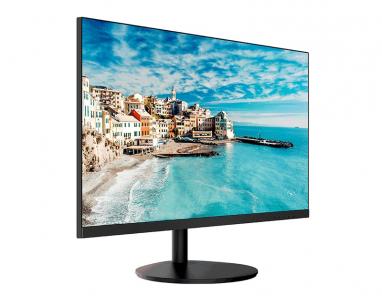 22 inča LM22-A200Y FHD 1920x1080 100 Hz monitor