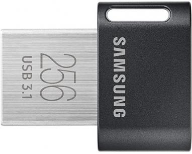 256GB FIT Plus sivi USB 3.1 MUF-256AB