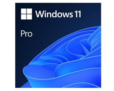Windows 11 Pro Eng Intl OEM (FQC-10528) slika