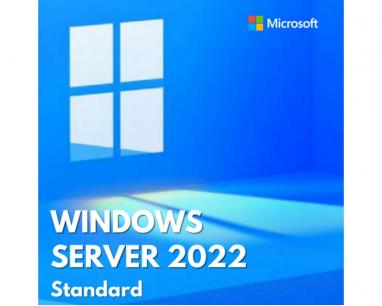Windows Server 2022 Standard English DVD 16 Core (P73-08328)