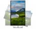DELL 31.5 inch P3223QE 4K USB-C Professional IPS monitor - Slika 1