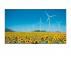 HISENSE 43 inča 43DP30FE 4K UHD 350 nita Digital Signage Display - 16/7 Operation - Slika 2