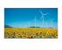 HISENSE 55 inča 55DP30FE 4K UHD 350 nita Digital Signage Display - 16/7 Operation - Slika 1