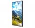 HISENSE 55 inča 55WF45H Window Facing - 4500 nita High Brightness Display - Slika 2