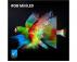 HISENSE 65 inča 65UR9S ULED RGB Mini-LED 4K UHD Smart TV - Slika 1
