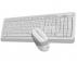 A4 TECH FG1010 FSTYLER Wireless Combo USB US beli set - Slika 2