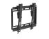 TUAREX Nosač za TV Tuarex Olimp-316 13-43/vesa max 200x200/40kg - Slika 2